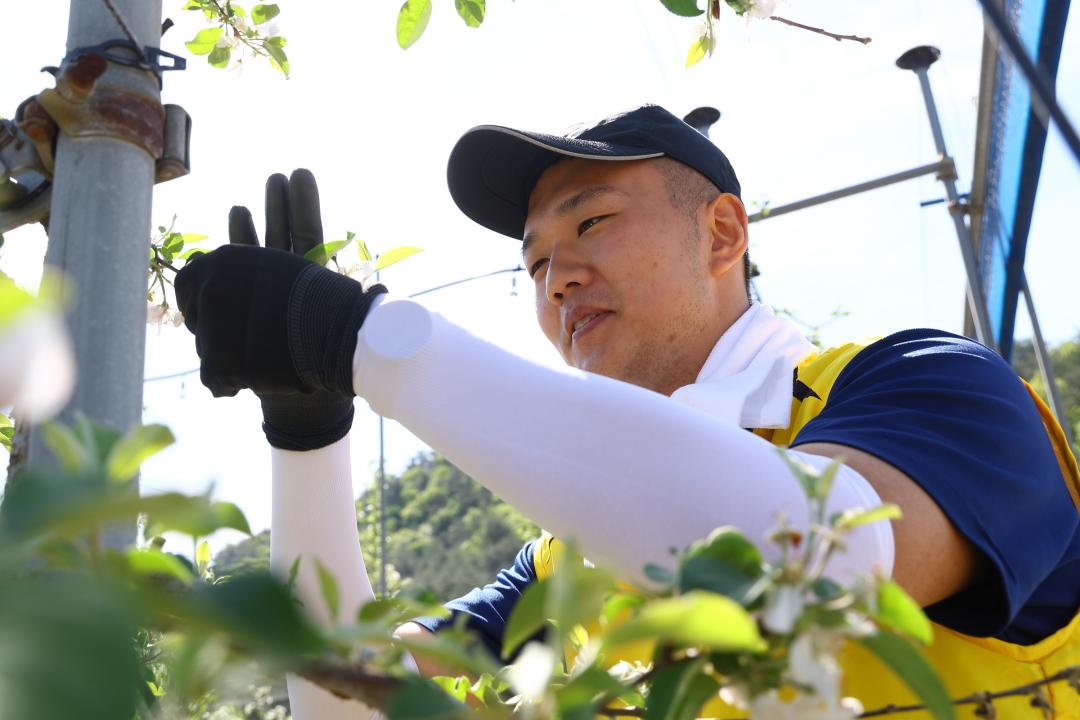 '강원특별자치도의회 2026년 농촌일손돕기 봉사활동' 게시글의 사진(36) '2026-04-29 강원특별자치도의회 농촌봉사활동 (34).jpg'