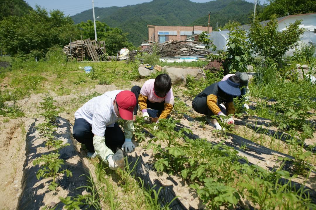 '다나눔 봉사단 초록반디마을 봉사활동' 게시글의 사진(17) '2010-06-24 다나눔 봉사단 초록반디마을 봉사활동 (17).jpg'