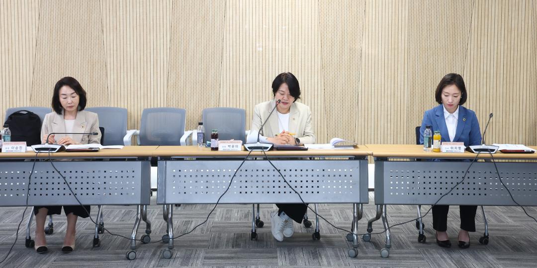 '고령친화도시 연구회 연구용역 최종보고회' 게시글의 사진(7) '2026-06-17 고령친화도시 연구회 연구용역 최종보고회 (7).jpg'