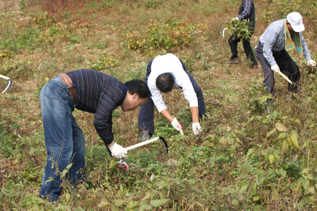 '농림수산위원회 농촌일손돕기 봉사활동' 게시글의 사진(17) '2010-10-19 농림수산위원회 농촌일손돕기 봉사활동 (17).jpg'