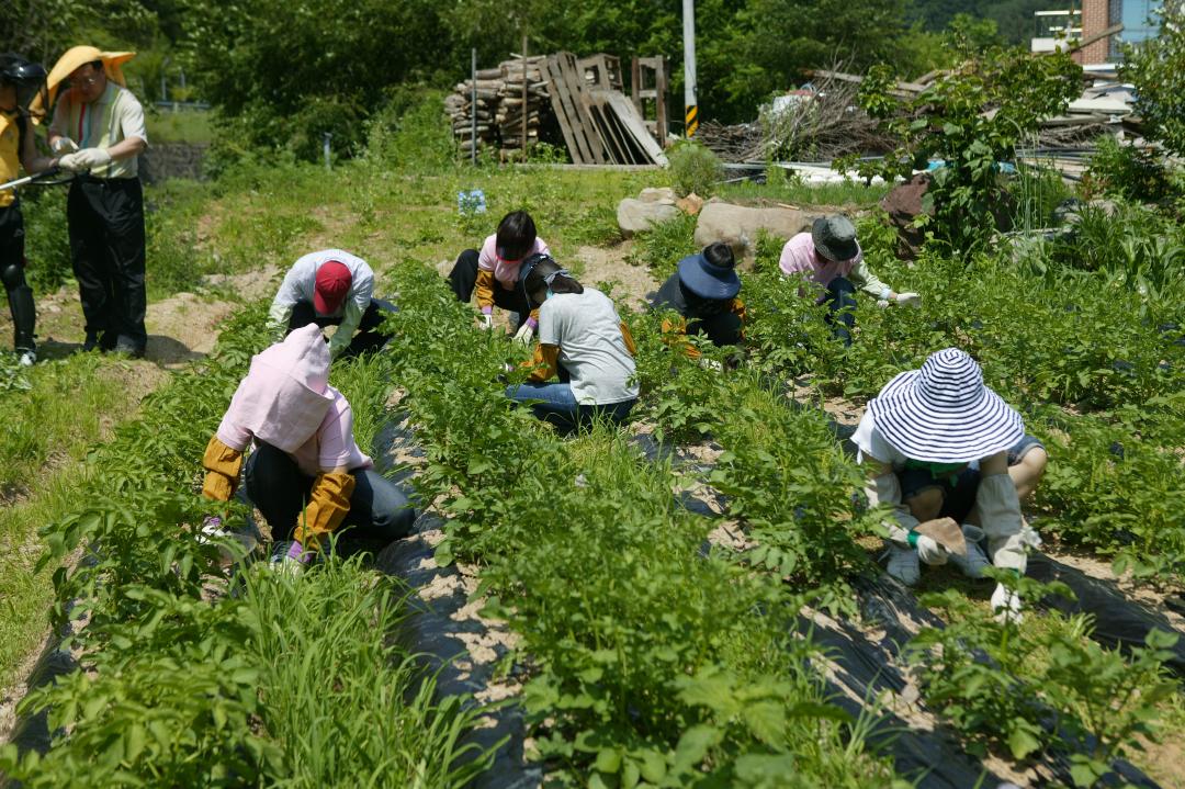 '다나눔 봉사단 초록반디마을 봉사활동' 게시글의 사진(31) '2010-06-24 다나눔 봉사단 초록반디마을 봉사활동 (31).jpg'