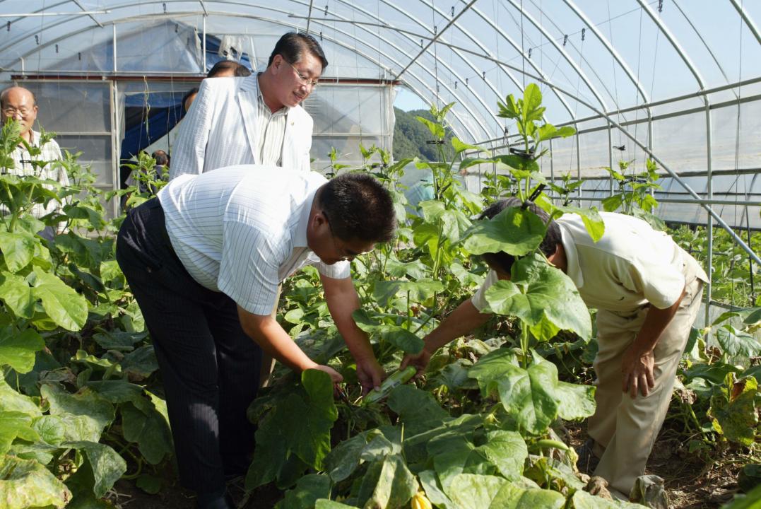 '사방댐 시설 및 친환경 농업경영 현지시찰' 게시글의 사진(11) '2006-09-07 사방댐 시설 및 친환경 농업경영 현지시찰 (11).JPG'
