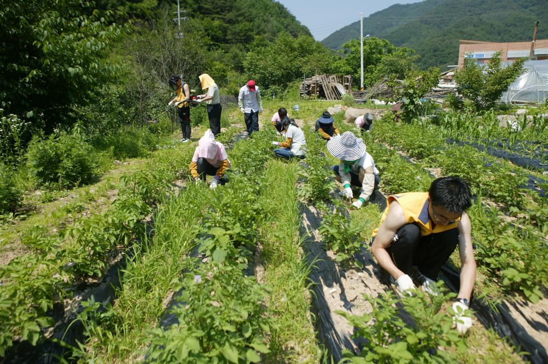 '다나눔 봉사단 초록반디마을 봉사활동' 게시글의 사진(27) '2010-06-24 다나눔 봉사단 초록반디마을 봉사활동 (27).jpg'