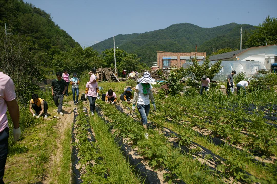'다나눔 봉사단 초록반디마을 봉사활동' 게시글의 사진(10) '2010-06-24 다나눔 봉사단 초록반디마을 봉사활동 (10).jpg'