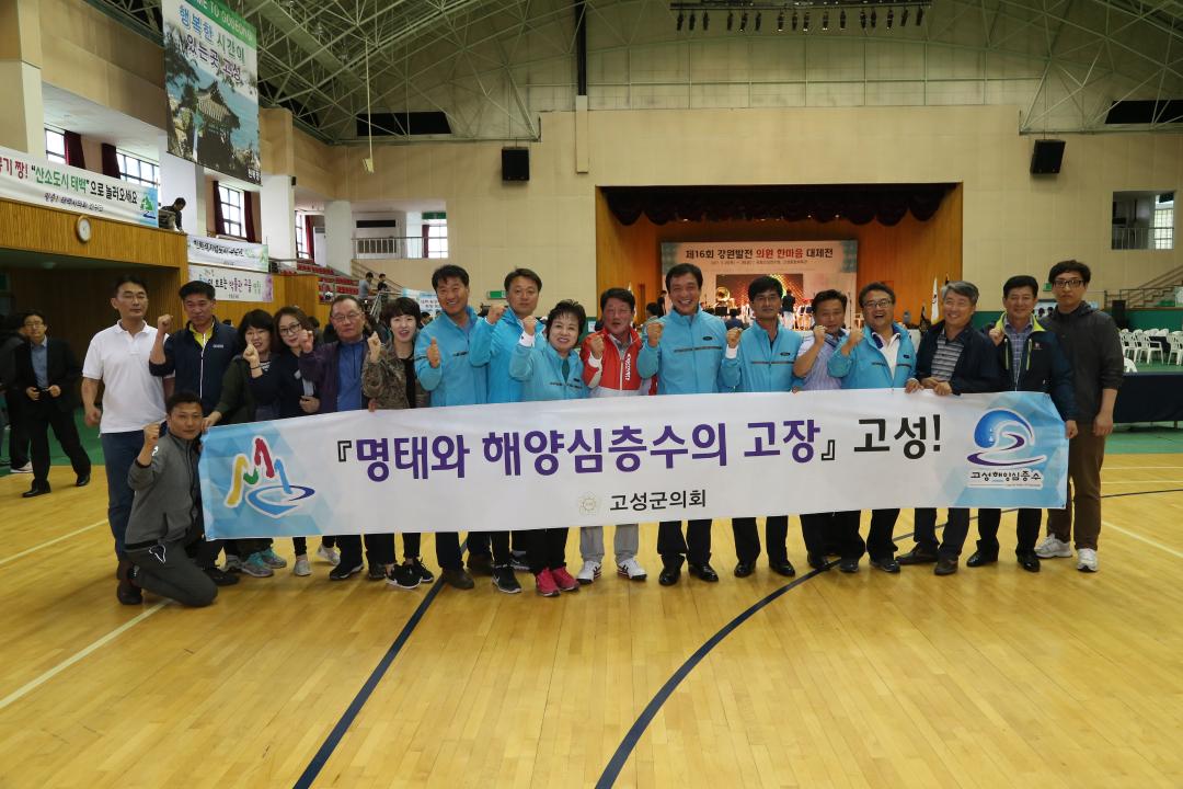 '제16회 강원발전의원 한마음 대제전(체육행사)' 게시글의 사진(126) '2017-05-26 제16회 강원발전의원 한마음 대제전(체육행사) (126).JPG'