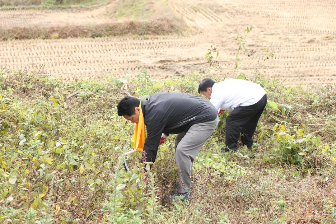 '농림수산위원회 농촌일손돕기 봉사활동' 게시글의 사진(21) '2010-10-19 농림수산위원회 농촌일손돕기 봉사활동 (21).jpg'