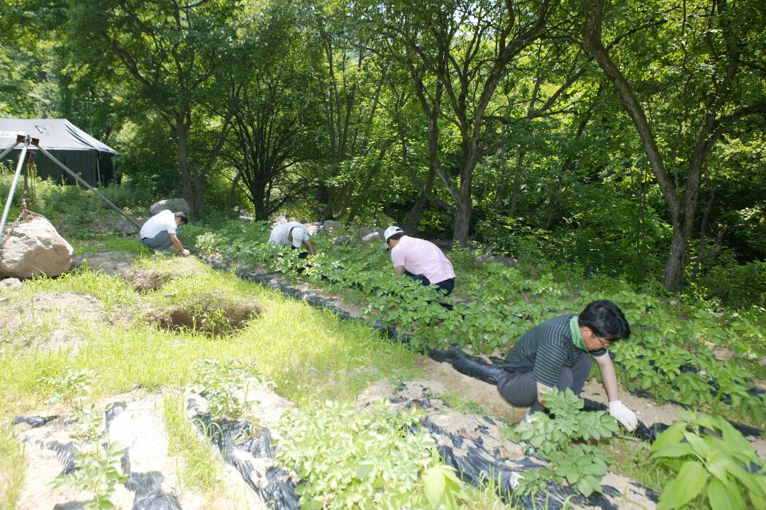 '다나눔 봉사단 초록반디마을 봉사활동' 게시글의 사진(34) '2010-06-24 다나눔 봉사단 초록반디마을 봉사활동 (34).jpg'