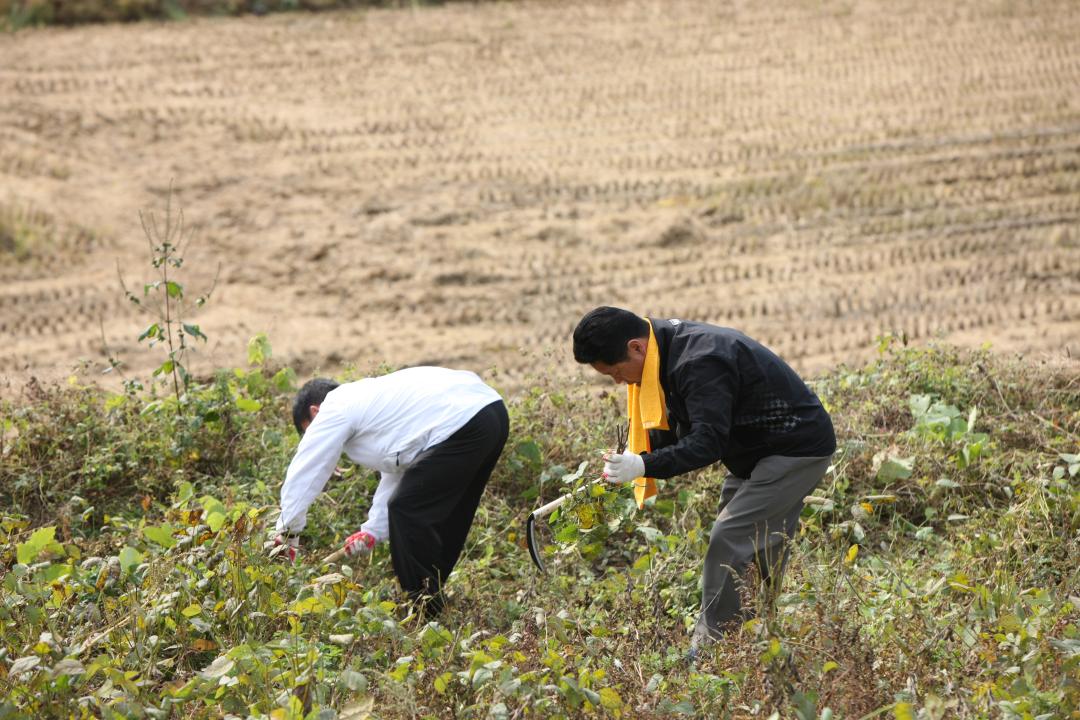 '농림수산위원회 농촌일손돕기 봉사활동' 게시글의 사진(10) '2010-10-19 농림수산위원회 농촌일손돕기 봉사활동 (10).jpg'