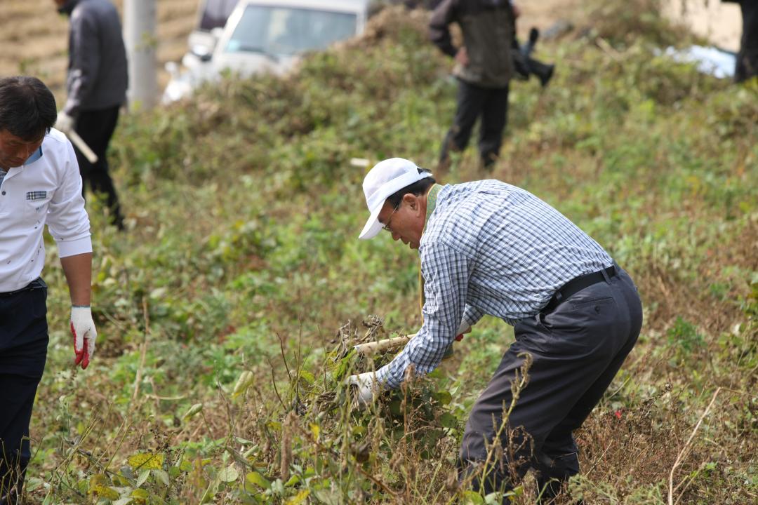 '농림수산위원회 농촌일손돕기 봉사활동' 게시글의 사진(14) '2010-10-19 농림수산위원회 농촌일손돕기 봉사활동 (14).jpg'