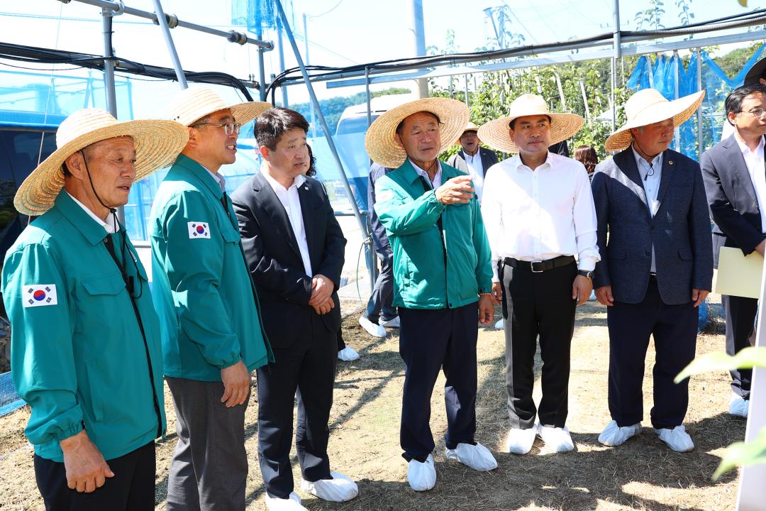 '제340회 농림수산위원회 현지시찰' 게시글의 사진(36) '2025-09-11 제340회 농림수산위원회 현지시찰(농업기술원,해피초원목장) (40).jpg'