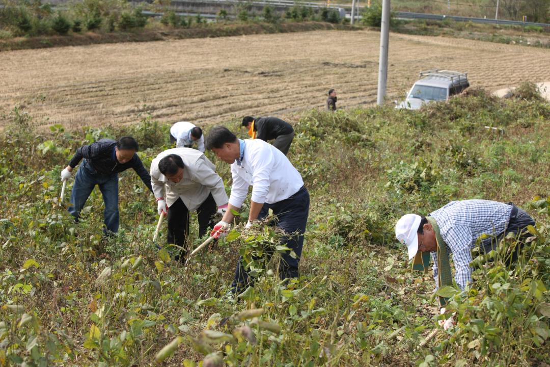 '농림수산위원회 농촌일손돕기 봉사활동' 게시글의 사진(9) '2010-10-19 농림수산위원회 농촌일손돕기 봉사활동 (9).jpg'