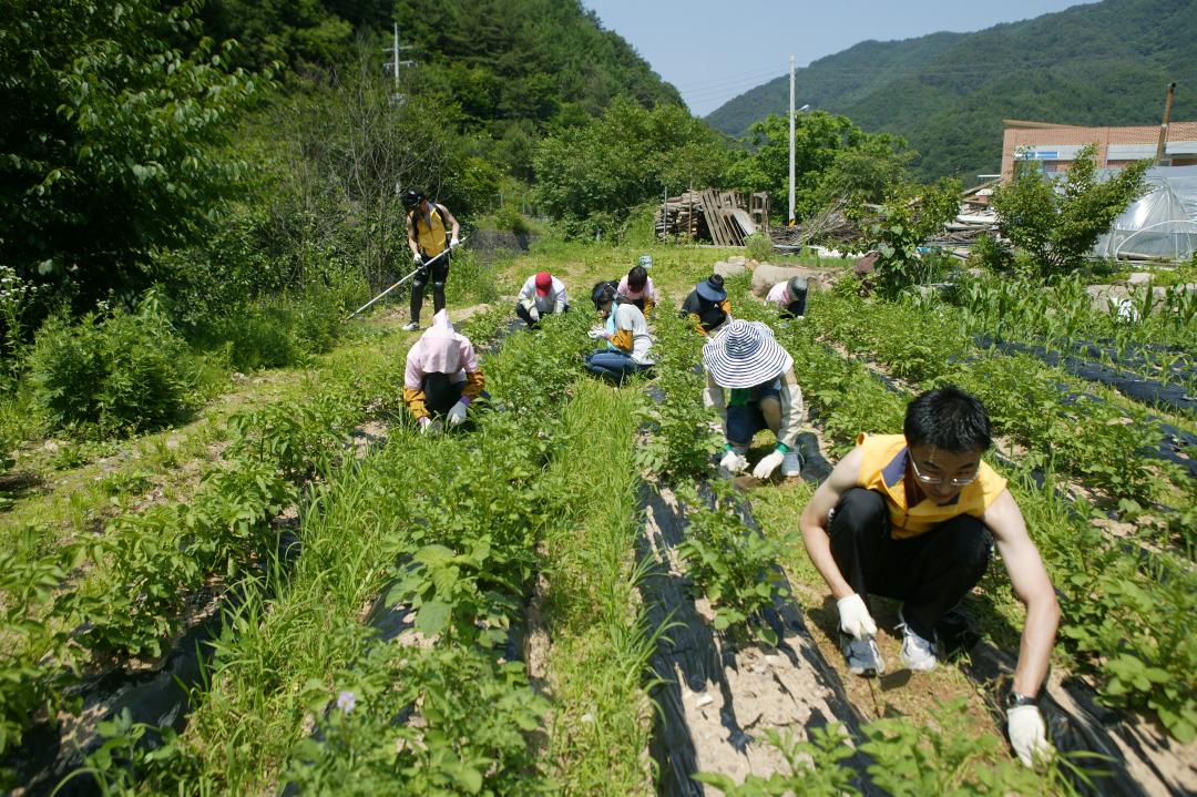 '다나눔 봉사단 초록반디마을 봉사활동' 게시글의 사진(23) '2010-06-24 다나눔 봉사단 초록반디마을 봉사활동 (23).jpg'