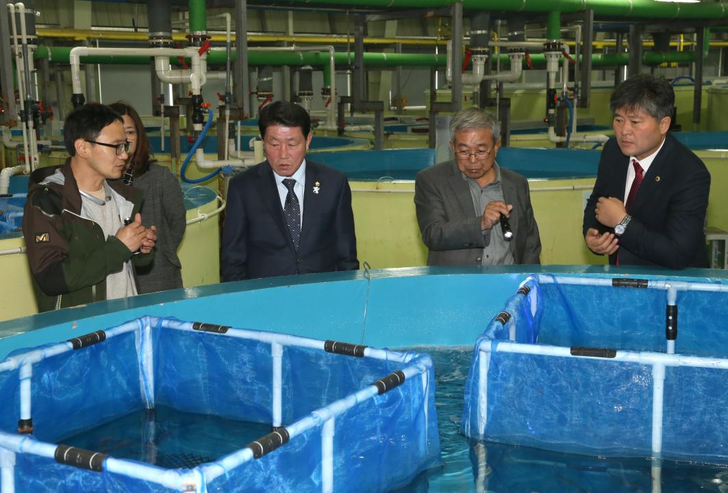 '강원도의회 찾아가는 생활자치 고성군 방문' 게시글의 사진(53) '2017-03-30 강원도의회 찾아가는 생활자치 고성군 방문 (53).jpg'