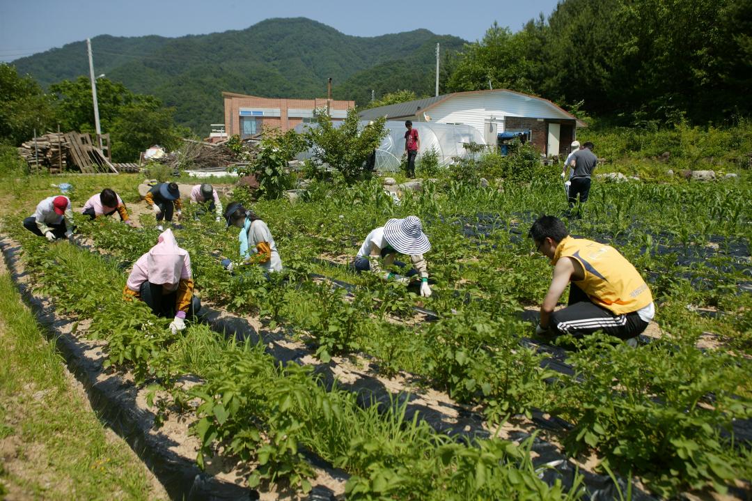 '다나눔 봉사단 초록반디마을 봉사활동' 게시글의 사진(12) '2010-06-24 다나눔 봉사단 초록반디마을 봉사활동 (12).jpg'