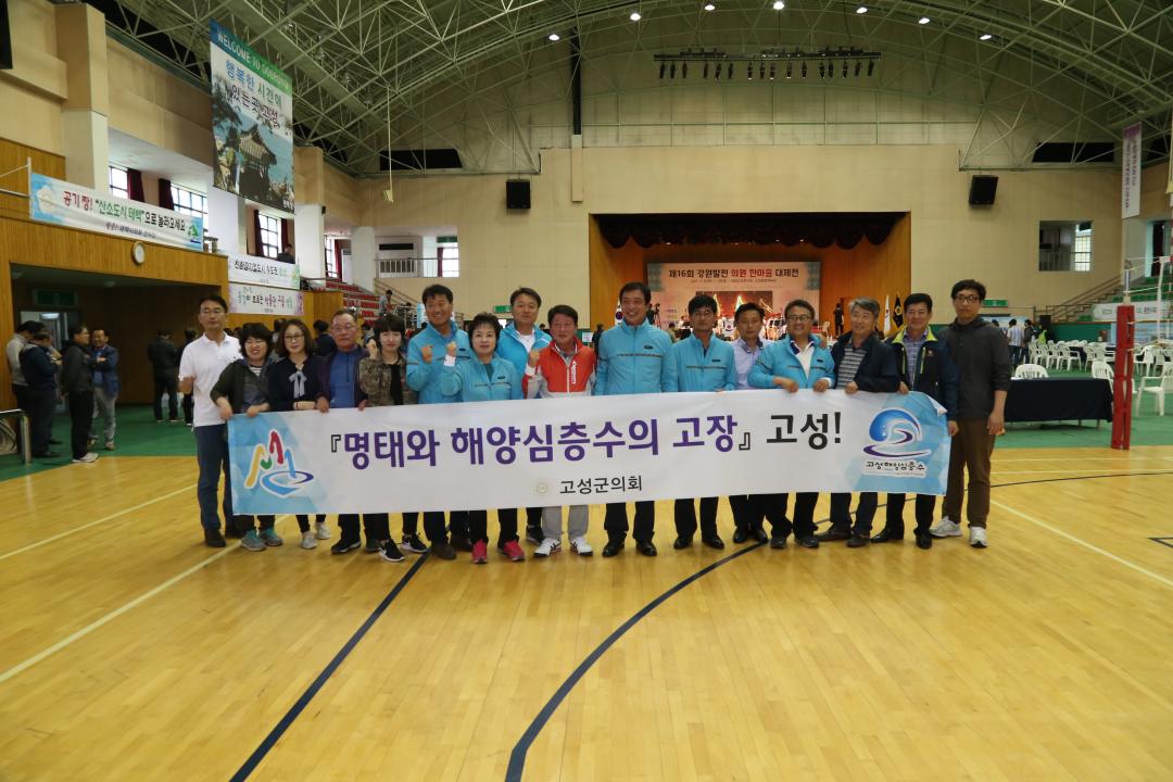 '제16회 강원발전의원 한마음 대제전(체육행사)' 게시글의 사진(125) '2017-05-26 제16회 강원발전의원 한마음 대제전(체육행사) (125).JPG'