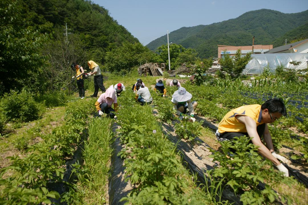 '다나눔 봉사단 초록반디마을 봉사활동' 게시글의 사진(28) '2010-06-24 다나눔 봉사단 초록반디마을 봉사활동 (28).jpg'