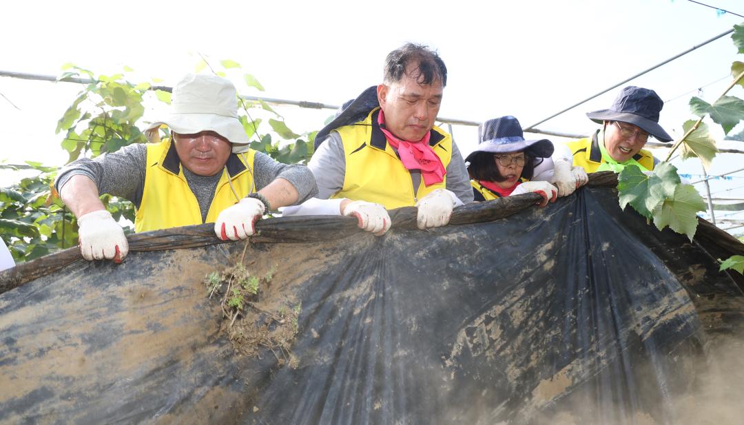 '강원특별자치도의회 수해피해 복구지원 봉사활동' 게시글의 사진(18) '2025-07-30 강원특별자치도의회 수해피해 복구지원 봉사활동 (18).jpg'