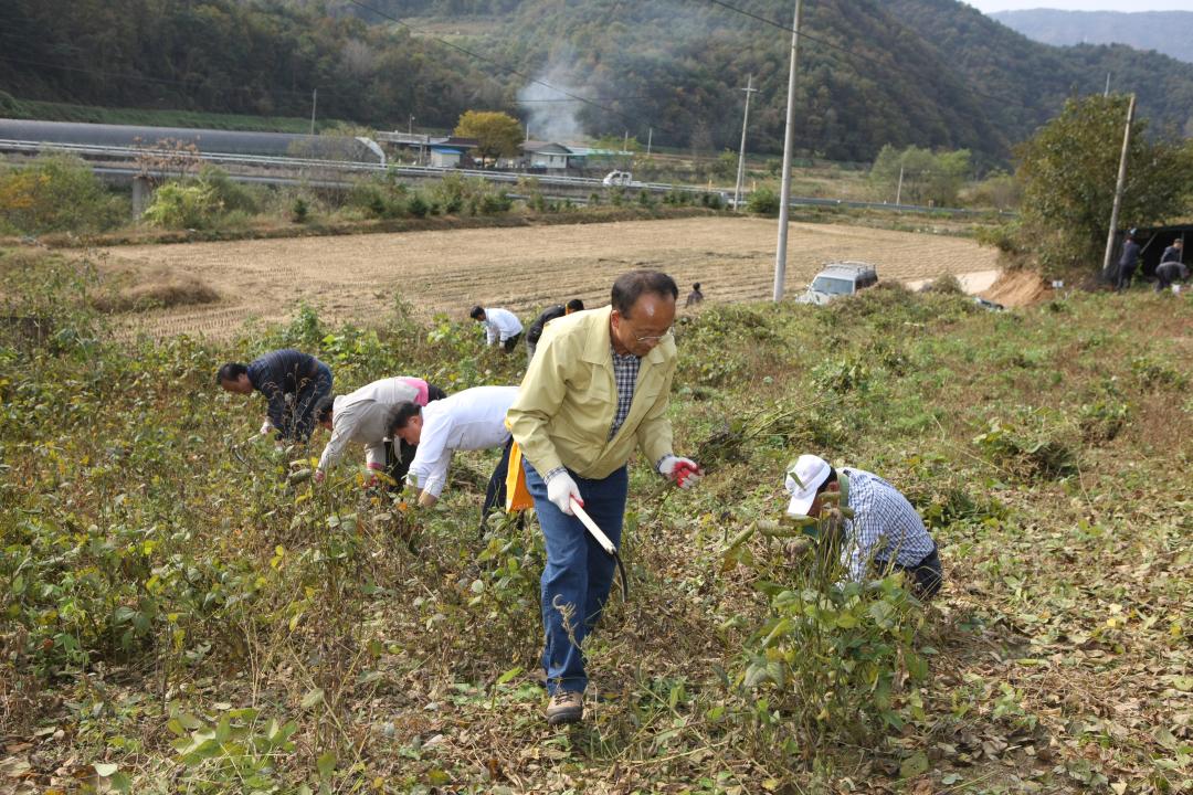'농림수산위원회 농촌일손돕기 봉사활동' 게시글의 사진(8) '2010-10-19 농림수산위원회 농촌일손돕기 봉사활동 (8).jpg'