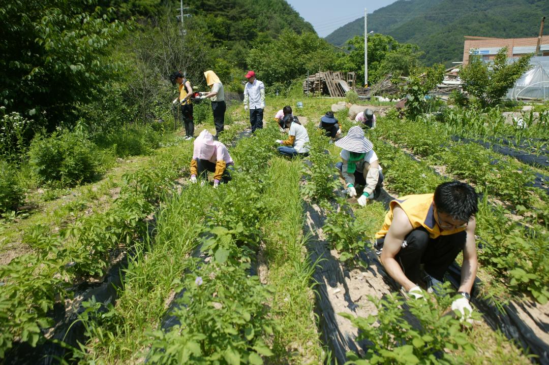 '다나눔 봉사단 초록반디마을 봉사활동' 게시글의 사진(26) '2010-06-24 다나눔 봉사단 초록반디마을 봉사활동 (26).jpg'