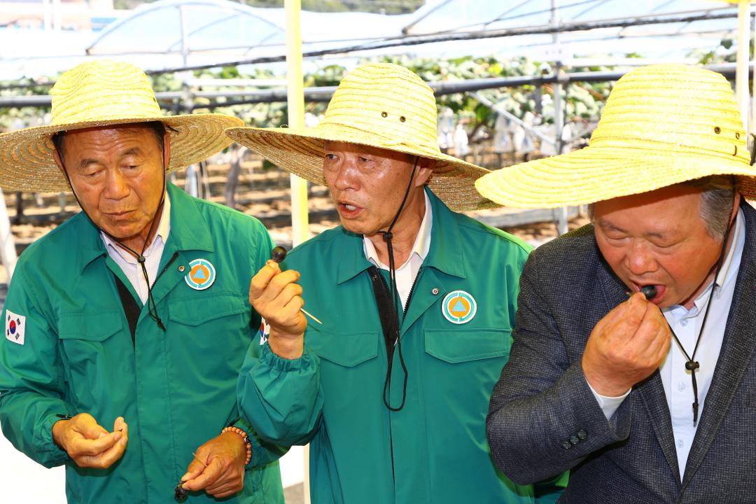 '제340회 농림수산위원회 현지시찰' 게시글의 사진(9) '2025-09-11 제340회 농림수산위원회 현지시찰(농업기술원,해피초원목장) (8).jpg'