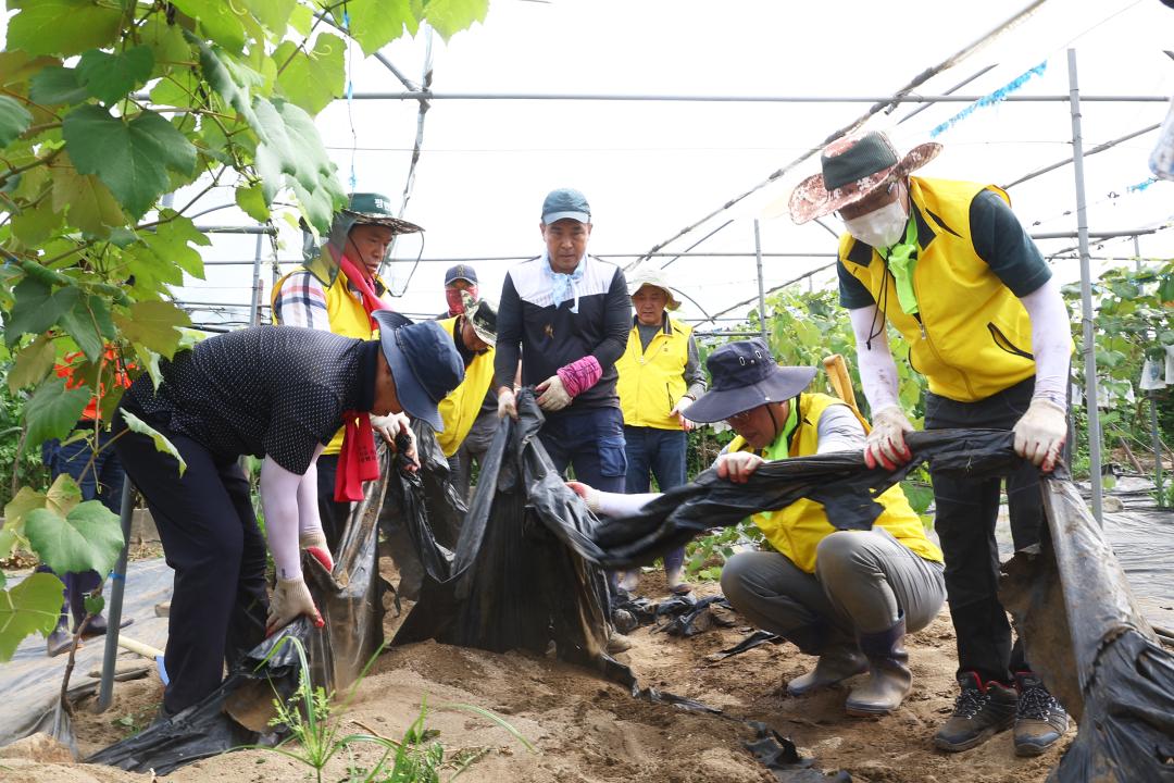'강원특별자치도의회 수해피해 복구지원 봉사활동' 게시글의 사진(35) '2025-07-30 강원특별자치도의회 수해피해 복구지원 봉사활동 (35).jpg'