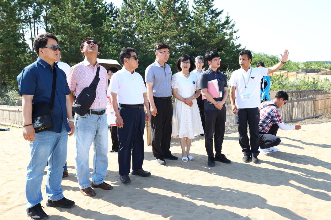 '강원특별자치도의회 한일국제교류협회 2025년 일본 돗토리현 방문' 게시글의 사진(1) '2025-07-30 강원특별자치도의회 한일국제교류협회 2025년 일본 돗토리현 방문 (1)_01_돗토리 사구 탐방.jpg'