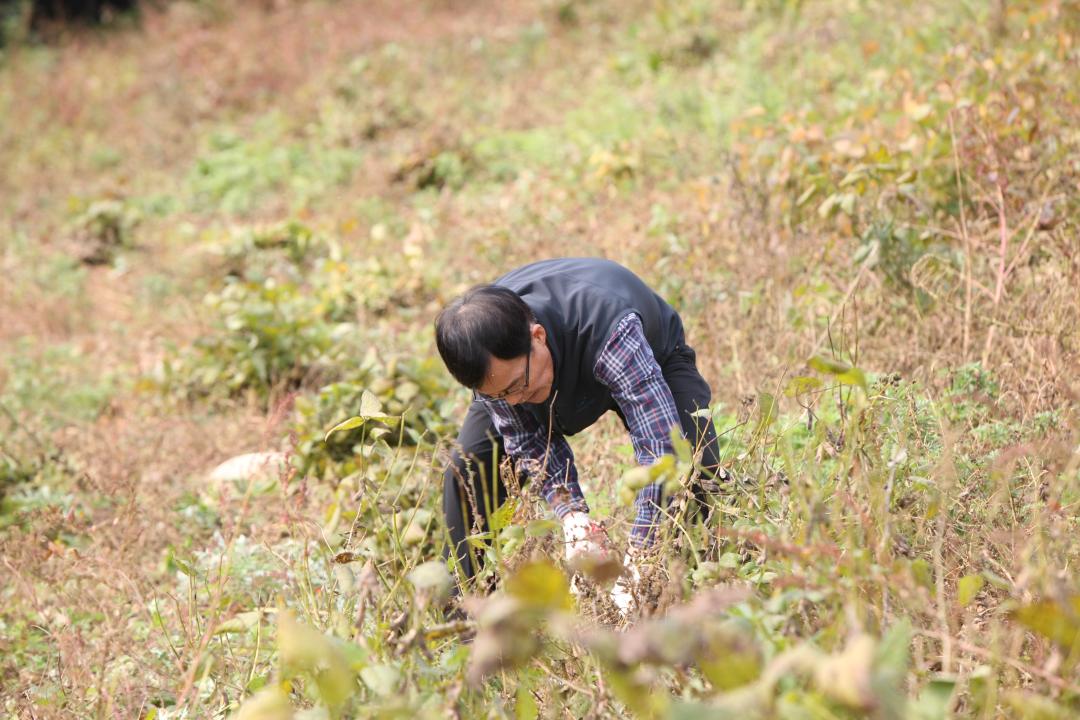 '농림수산위원회 농촌일손돕기 봉사활동' 게시글의 사진(13) '2010-10-19 농림수산위원회 농촌일손돕기 봉사활동 (13).jpg'