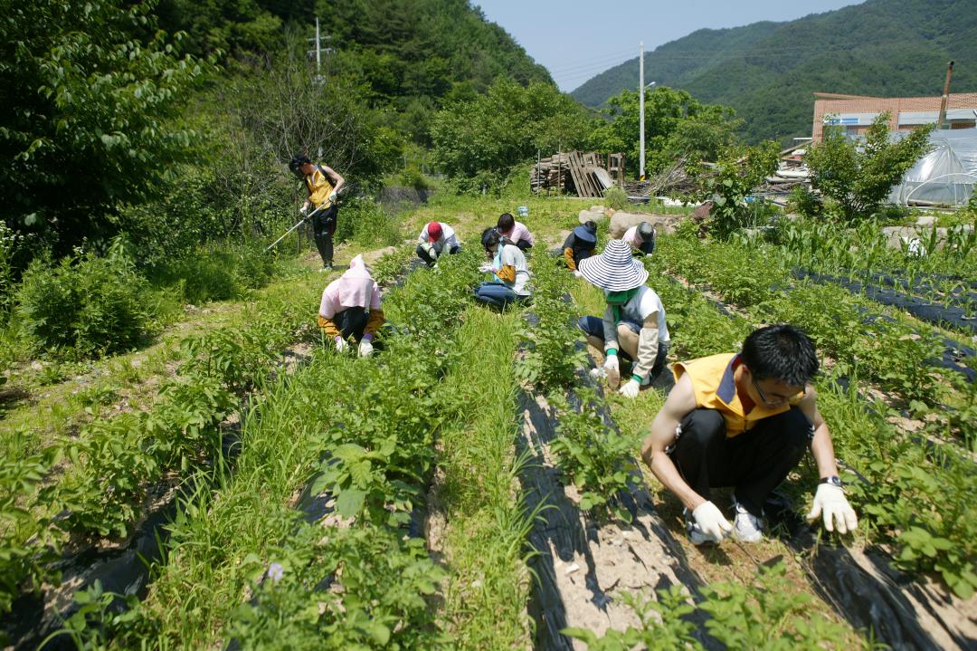 '다나눔 봉사단 초록반디마을 봉사활동' 게시글의 사진(24) '2010-06-24 다나눔 봉사단 초록반디마을 봉사활동 (24).jpg'