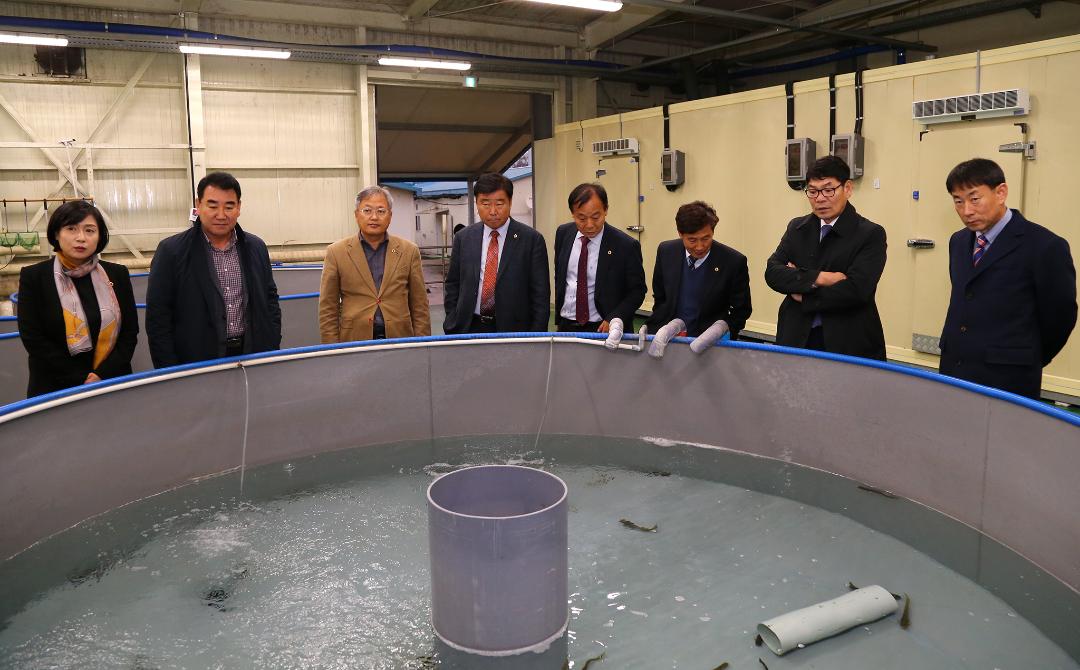 '제286회 농림수산위원회 현지시찰(내수면자원센터)' 게시글의 사진(2) '2019-11-15 제286회 농림수산위원회 현지시찰(내수면자원센터) (2).jpg'