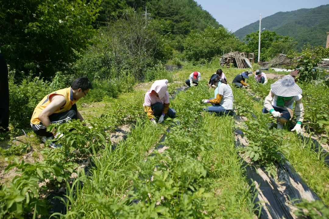'다나눔 봉사단 초록반디마을 봉사활동' 게시글의 사진(11) '2010-06-24 다나눔 봉사단 초록반디마을 봉사활동 (11).jpg'