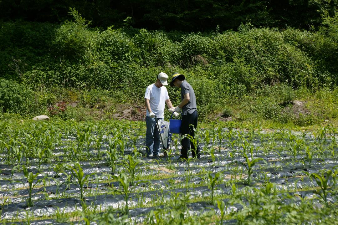 '다나눔 봉사단 초록반디마을 봉사활동' 게시글의 사진(33) '2010-06-24 다나눔 봉사단 초록반디마을 봉사활동 (33).jpg'