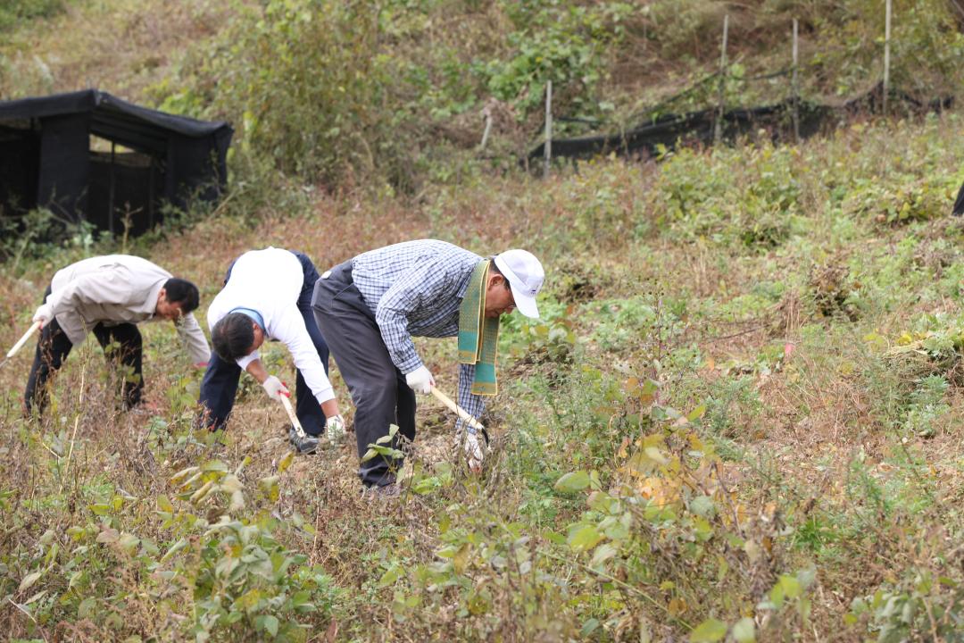 '농림수산위원회 농촌일손돕기 봉사활동' 게시글의 사진(26) '2010-10-19 농림수산위원회 농촌일손돕기 봉사활동 (26).jpg'