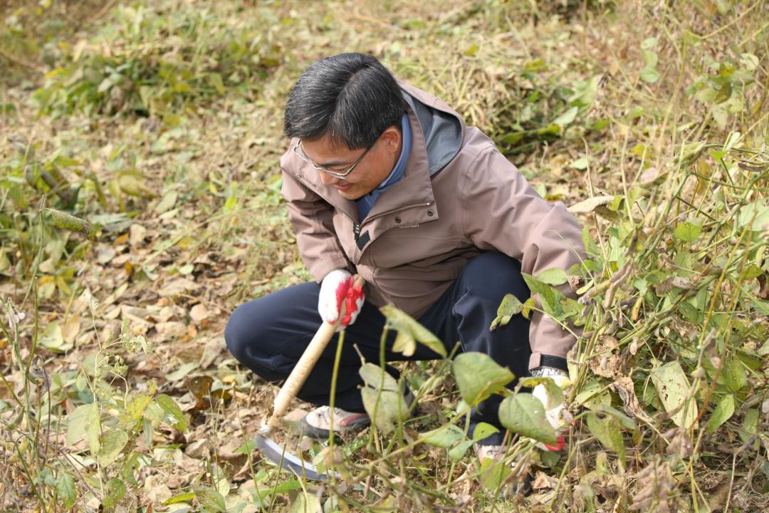 '농림수산위원회 농촌일손돕기 봉사활동' 게시글의 사진(15) '2010-10-19 농림수산위원회 농촌일손돕기 봉사활동 (15).jpg'