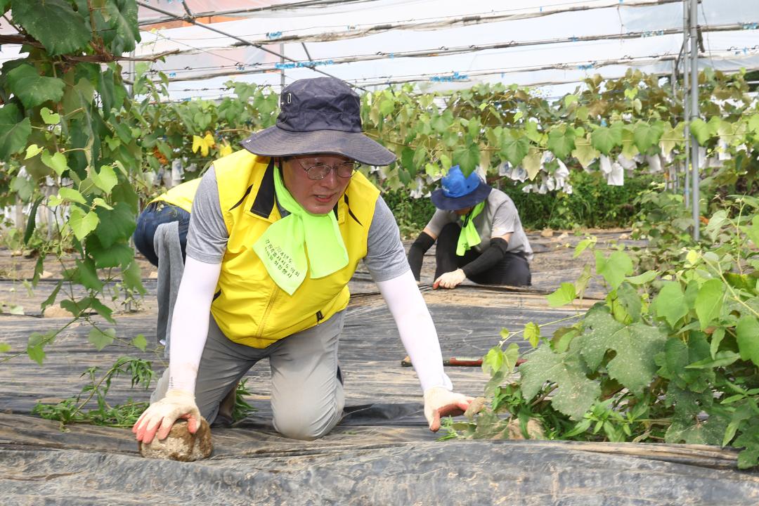 '강원특별자치도의회 수해피해 복구지원 봉사활동' 게시글의 사진(32) '2025-07-30 강원특별자치도의회 수해피해 복구지원 봉사활동 (32).jpg'