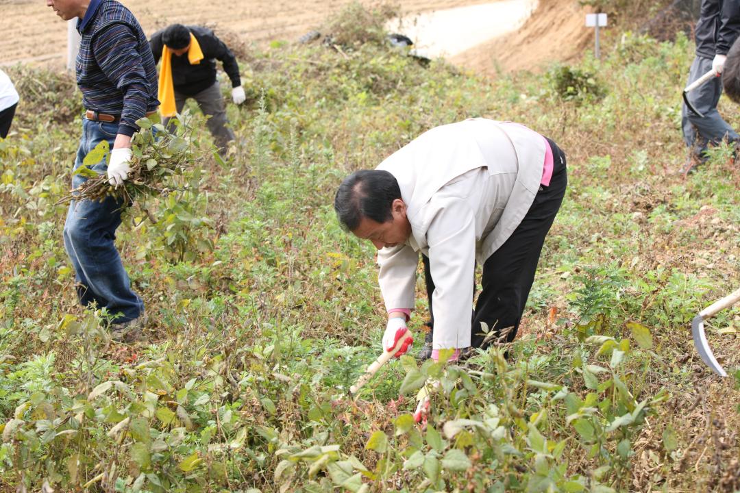 '농림수산위원회 농촌일손돕기 봉사활동' 게시글의 사진(23) '2010-10-19 농림수산위원회 농촌일손돕기 봉사활동 (23).jpg'
