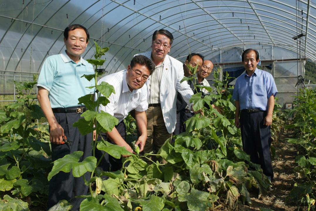 '사방댐 시설 및 친환경 농업경영 현지시찰' 게시글의 사진(12) '2006-09-07 사방댐 시설 및 친환경 농업경영 현지시찰 (12).JPG'