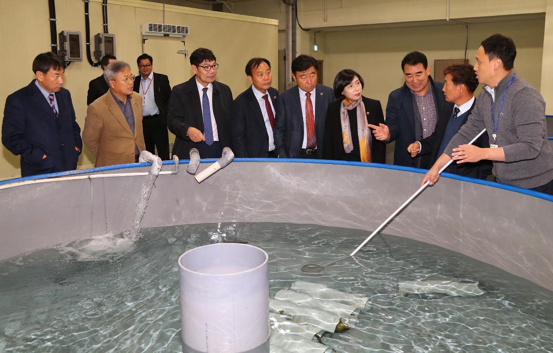 '제286회 농림수산위원회 현지시찰(내수면자원센터)' 게시글의 사진(6) '2019-11-15 제286회 농림수산위원회 현지시찰(내수면자원센터) (6).jpg'