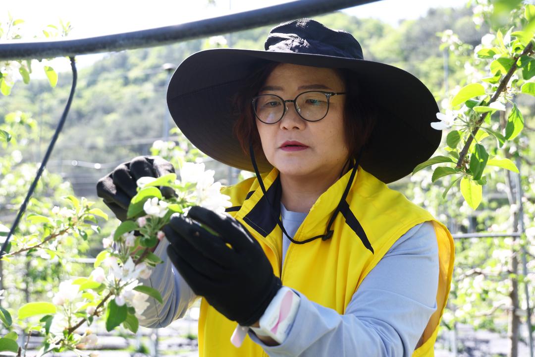 '강원특별자치도의회 2026년 농촌일손돕기 봉사활동' 게시글의 사진(16) '2026-04-29 강원특별자치도의회 농촌봉사활동 (14).jpg'