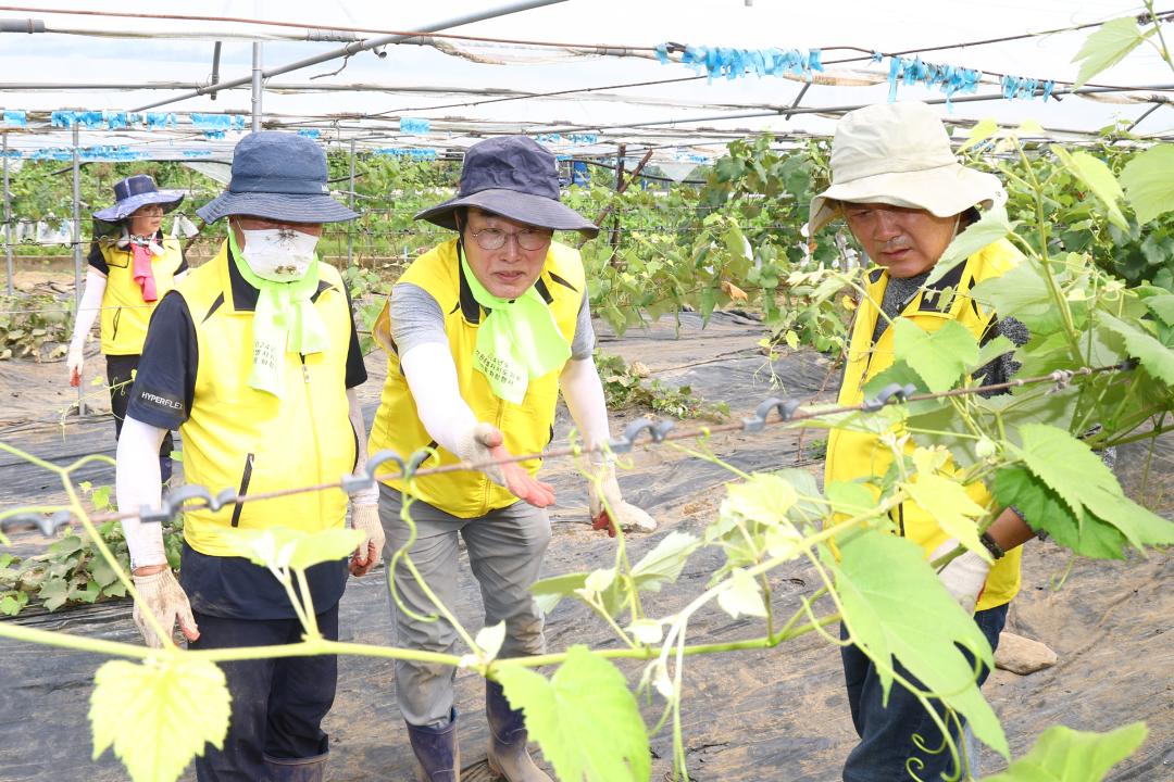 '강원특별자치도의회 수해피해 복구지원 봉사활동' 게시글의 사진(34) '2025-07-30 강원특별자치도의회 수해피해 복구지원 봉사활동 (34).jpg'