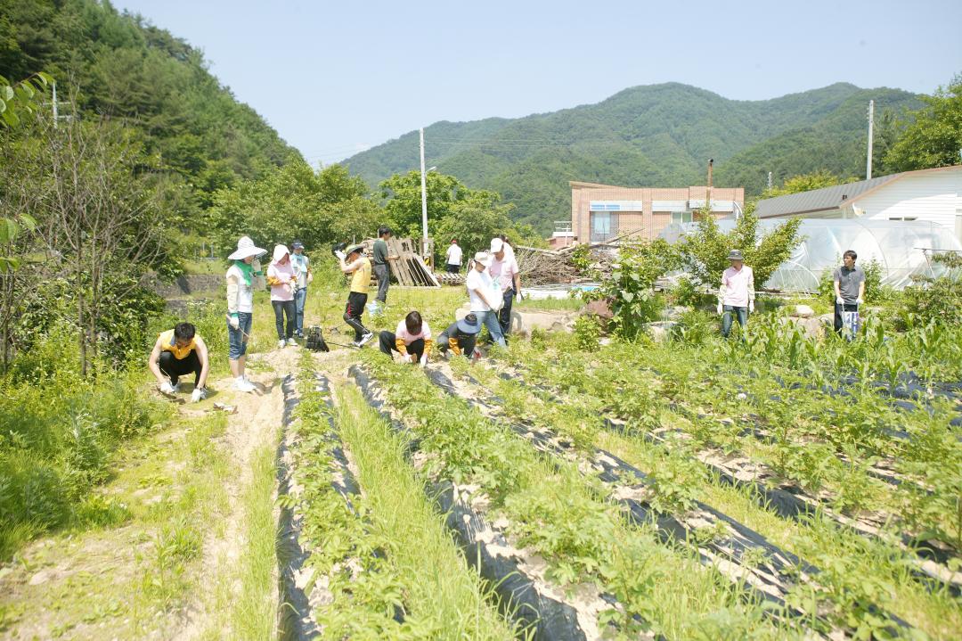 '다나눔 봉사단 초록반디마을 봉사활동' 게시글의 사진(9) '2010-06-24 다나눔 봉사단 초록반디마을 봉사활동 (9).jpg'