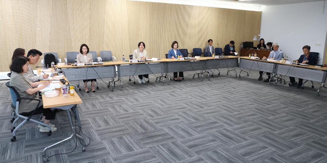 '고령친화도시 연구회 연구용역 최종보고회' 게시글의 사진(8) '2026-06-17 고령친화도시 연구회 연구용역 최종보고회 (8).jpg'