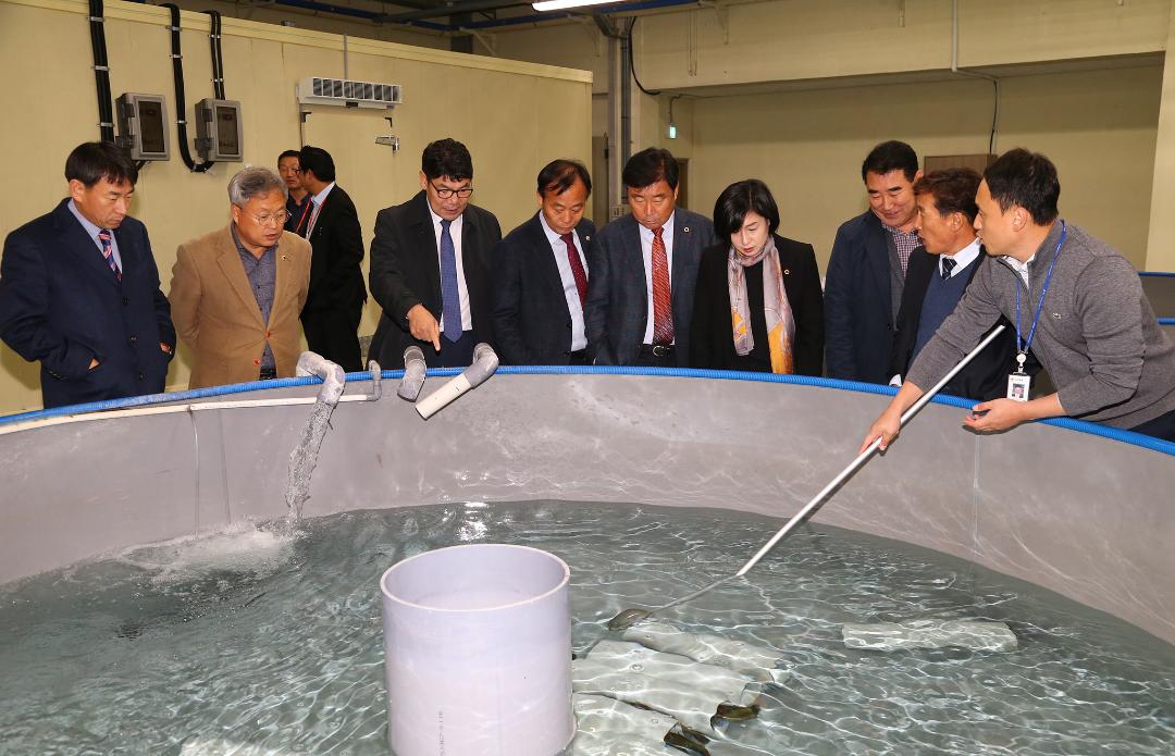 '제286회 농림수산위원회 현지시찰(내수면자원센터)' 게시글의 사진(5) '2019-11-15 제286회 농림수산위원회 현지시찰(내수면자원센터) (5).jpg'