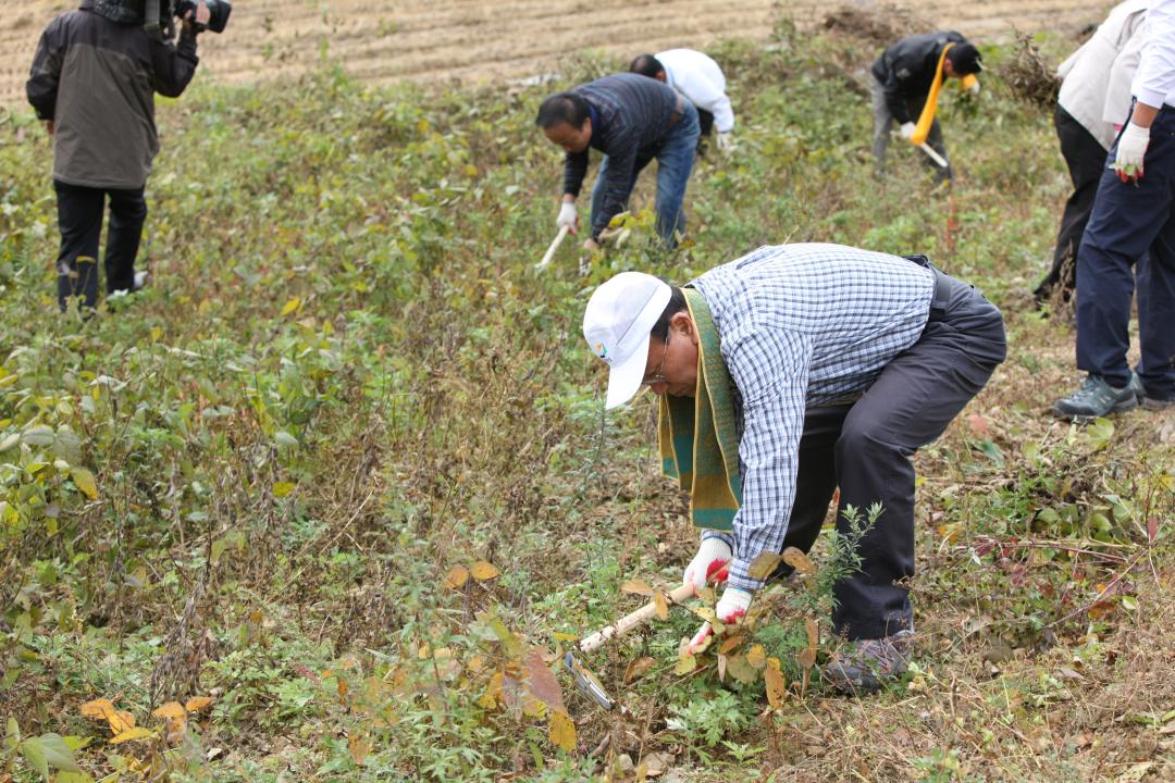 '농림수산위원회 농촌일손돕기 봉사활동' 게시글의 사진(25) '2010-10-19 농림수산위원회 농촌일손돕기 봉사활동 (25).jpg'
