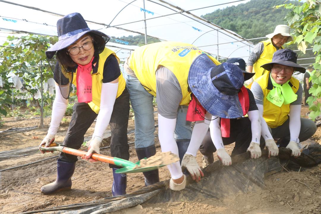 '강원특별자치도의회 수해피해 복구지원 봉사활동' 게시글의 사진(14) '2025-07-30 강원특별자치도의회 수해피해 복구지원 봉사활동 (14).jpg'