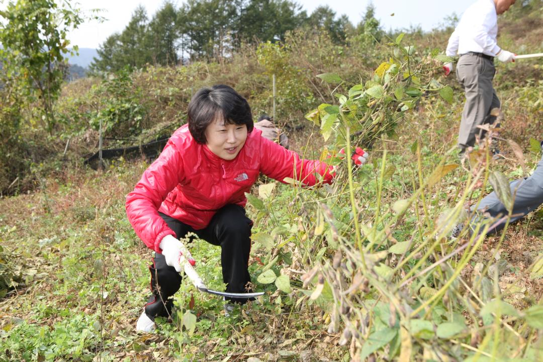 '농림수산위원회 농촌일손돕기 봉사활동' 게시글의 사진(4) '2010-10-19 농림수산위원회 농촌일손돕기 봉사활동 (4).jpg'