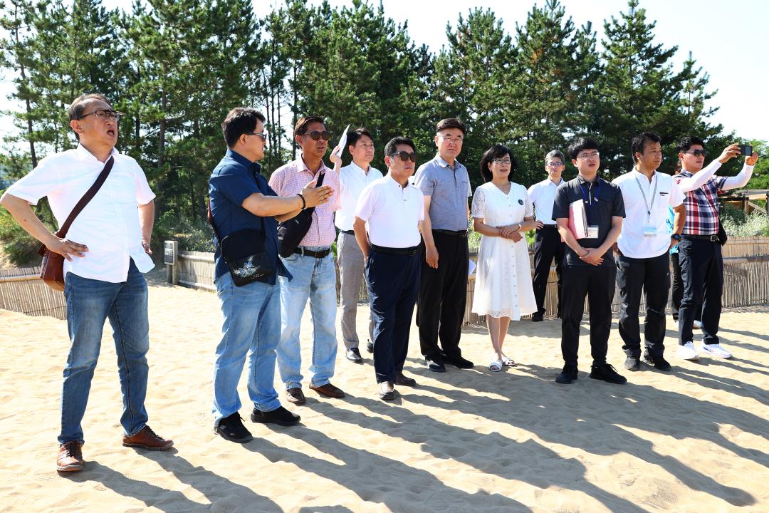 '강원특별자치도의회 한일국제교류협회 2025년 일본 돗토리현 방문' 게시글의 사진(2) '2025-07-30 강원특별자치도의회 한일국제교류협회 2025년 일본 돗토리현 방문 (2)_01_돗토리 사구 탐방.jpg'
