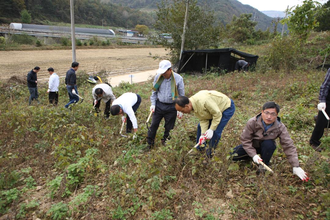 '농림수산위원회 농촌일손돕기 봉사활동' 게시글의 사진(27) '2010-10-19 농림수산위원회 농촌일손돕기 봉사활동 (27).jpg'