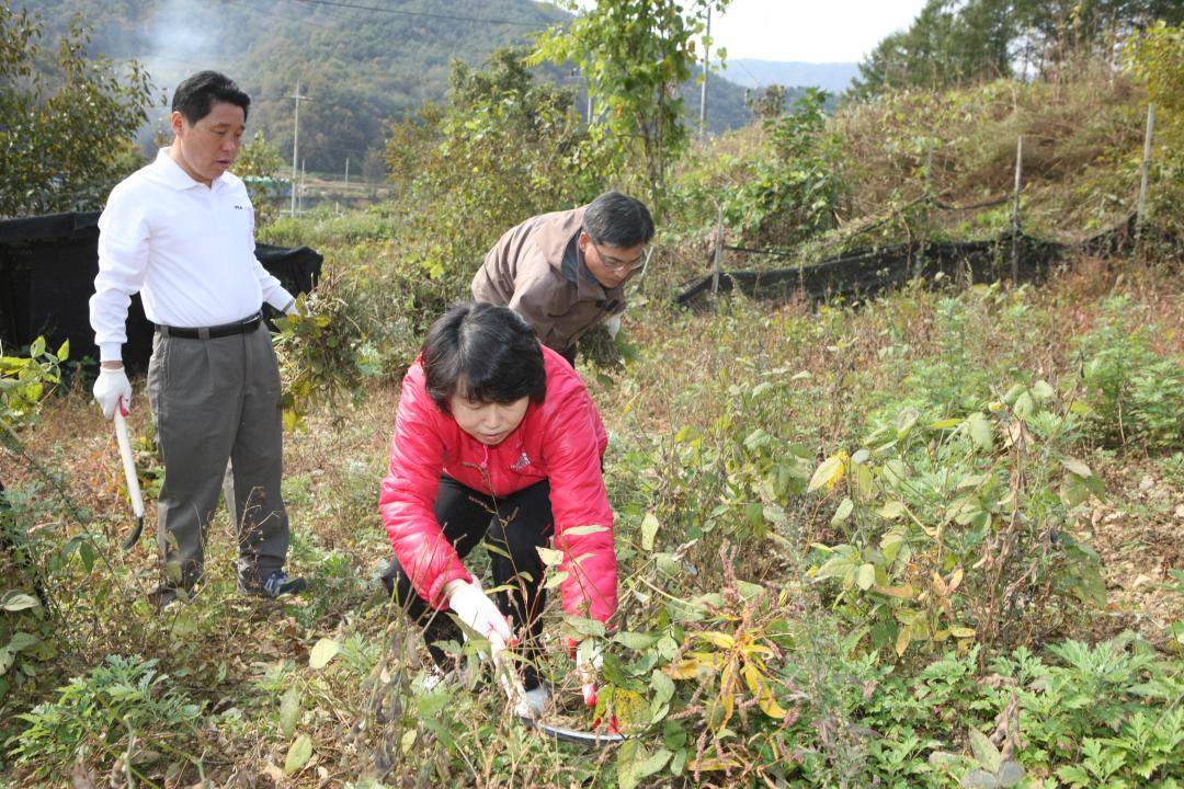 '농림수산위원회 농촌일손돕기 봉사활동' 게시글의 사진(7) '2010-10-19 농림수산위원회 농촌일손돕기 봉사활동 (7).jpg'