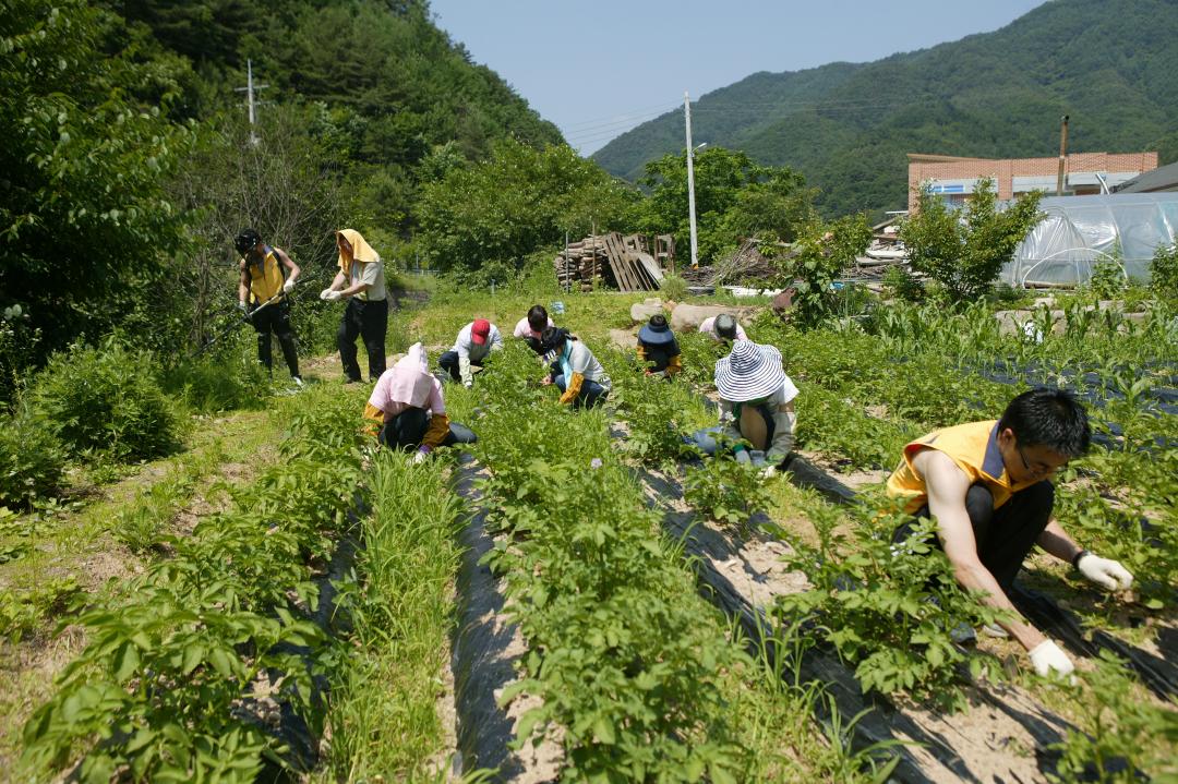 '다나눔 봉사단 초록반디마을 봉사활동' 게시글의 사진(32) '2010-06-24 다나눔 봉사단 초록반디마을 봉사활동 (32).jpg'