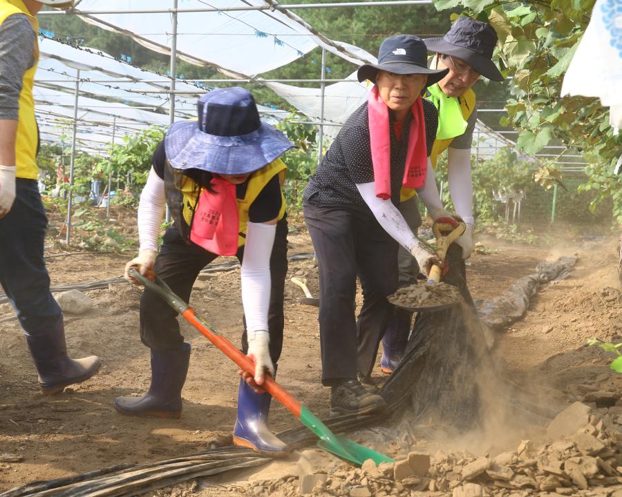 '강원특별자치도의회 수해피해 복구지원 봉사활동' 게시글의 사진(9) '2025-07-30 강원특별자치도의회 수해피해 복구지원 봉사활동 (9).jpg'